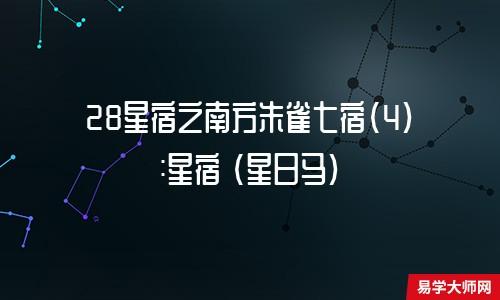 星宿马适合 星日马这个星宿怎么样