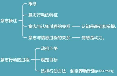 知识能力情感意志 知识情感技能的关键词