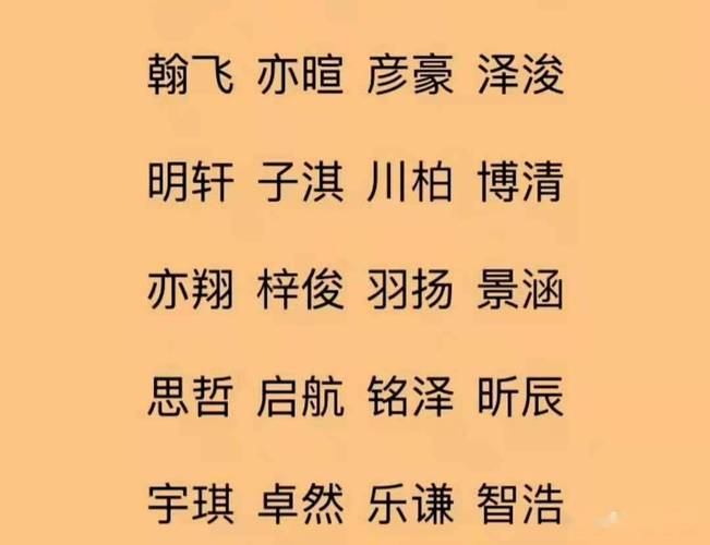 宝宝起名:生个男孩起这些名字,寓意十足,志向远大