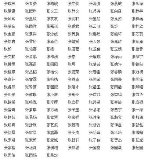 张和四字起名大全 四字公司名称起名大全