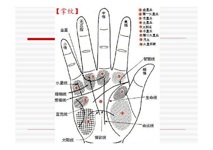 7种手相暗示大富大贵面相中各个部位叫什么名称