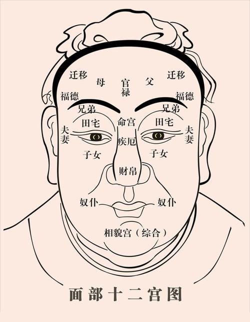 观人面相直断-官场快速识人(第二课)