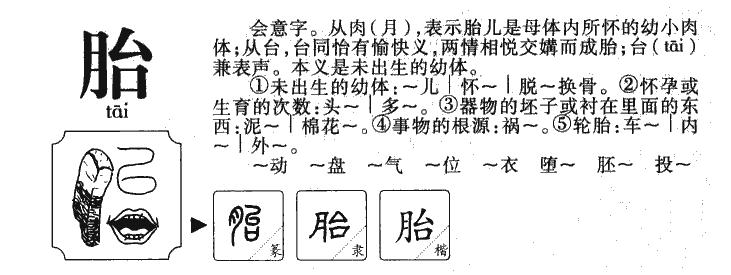 胎的意思-胎字五行属什么-胎字取名的寓意 - 起名网