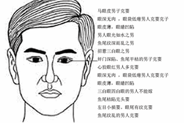 事业成功男人面相(男人的面相)