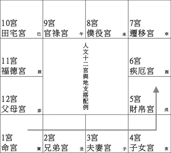 八字排盘宫位(八字宫位算命绝技)