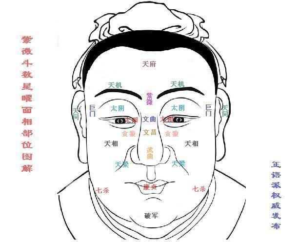 紫微主星面相(紫微斗数命主星怎么看)