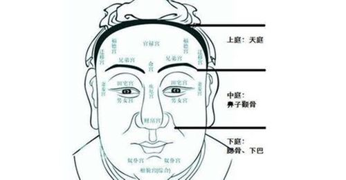 什么样的面相事官相 什么样的面相是官相