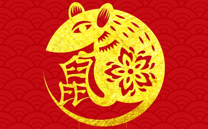 属鼠今年五月份财运(属猪今年五月份财运)