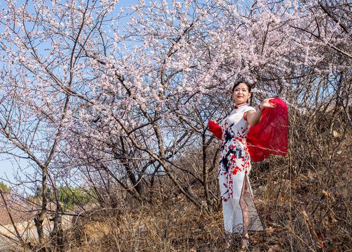 山野桃花运小神医陈平