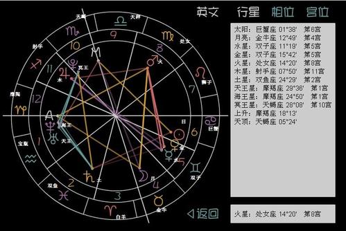 请高手帮我解答一下这个星盘.