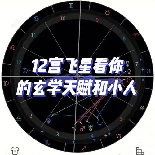 占星飞星怎么飞 占星飞星理论