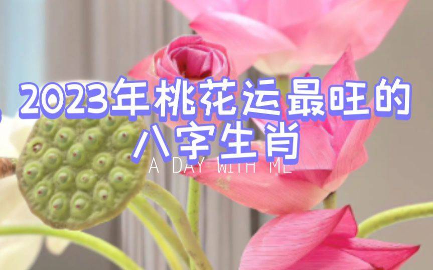 生肖的桃花运年 2023年走桃花运的生肖