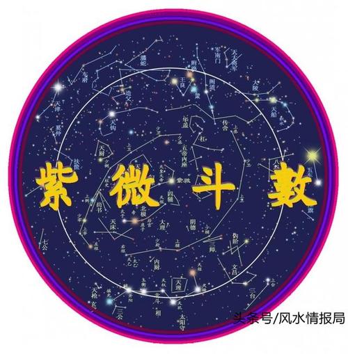 紫薇斗数官府星在命宫详细说明(紫微斗数女命官运)