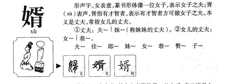 婿的意思-婿字五行属什么-婿字取名的寓意 - 起名网