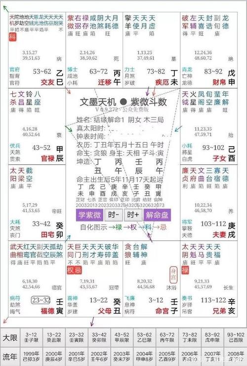 紫薇斗数排盘 (紫微斗数排盘软件)-第2张图片-珑钦运势网