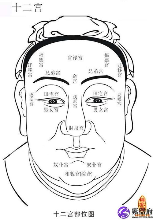 面相厨房有 面相学五官分析