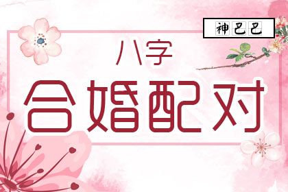 合八字测婚姻配对(合婚姻八字免费测试)