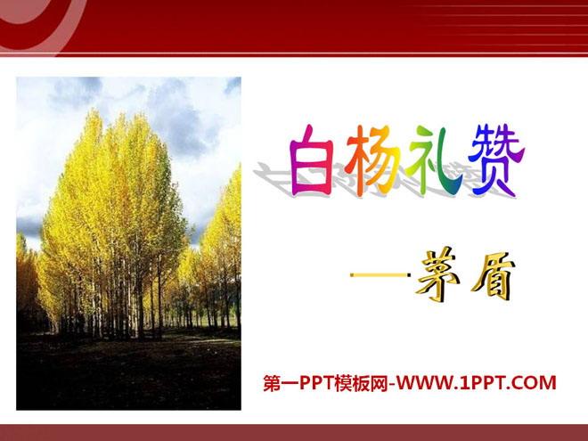 《白杨礼赞》ppt课件9