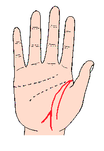 头脑线手相(手相头脑线分叉图解)