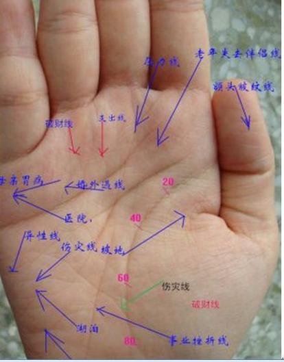 标准手疹九宫脏腑图