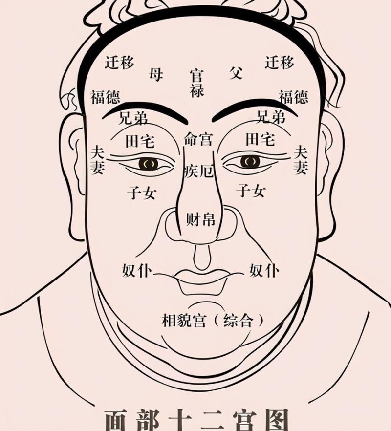 A1面相 a1面相测试