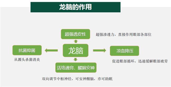 面相龙脑 龙脑视频介绍