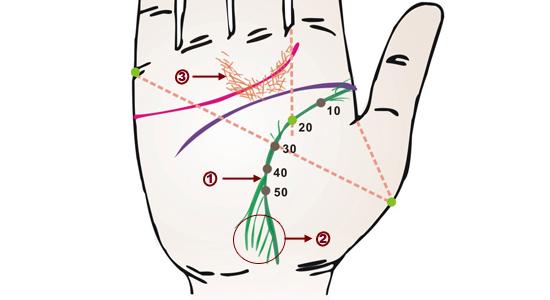 从手相看病徵