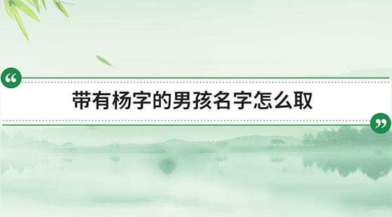 14:55:34 来源: 起名网 作者:维鸠 不管大家是想为杨姓男孩取名,还是