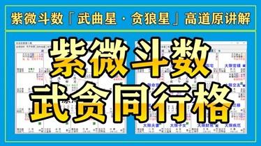 贪狼星的主要特点紫微斗数东来紫微玄门信息咨询(紫微斗数偏财贪狼)