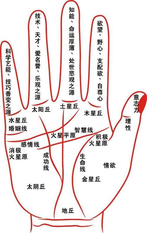 手相手大小