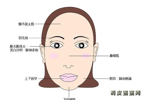 人脸能反映性格和健康?(6)