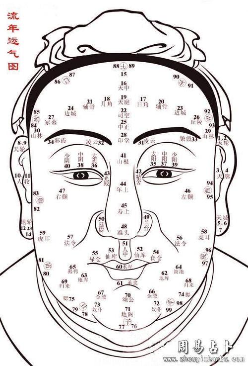 面相基础之百岁流年图