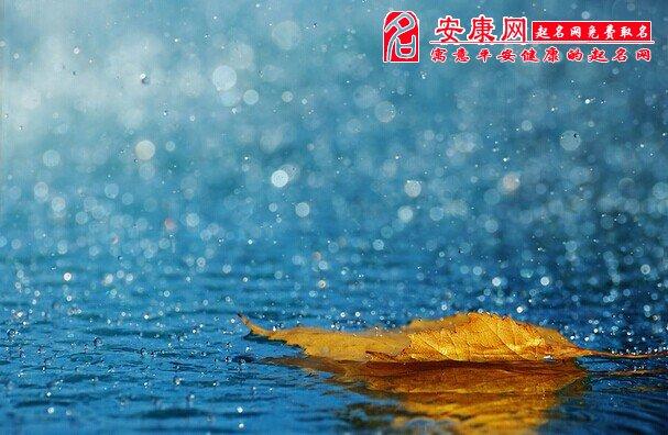 下雨的运势 下雨天运气好一点的语录