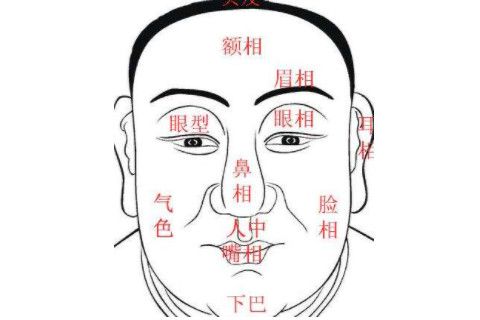 男人面相算命图解