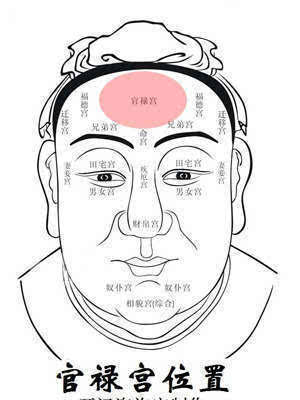 官禄宫无主星能力差 日语能力考试官网