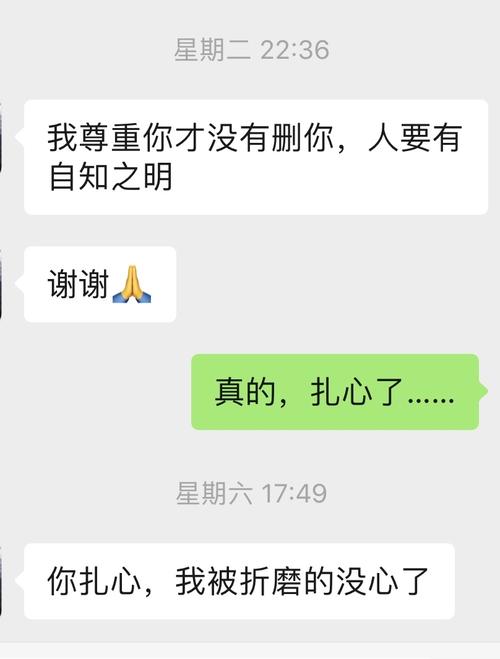 被分手,挽回纠缠半个月对方依然坚决分手各种羞辱,被迫才开始断联,全