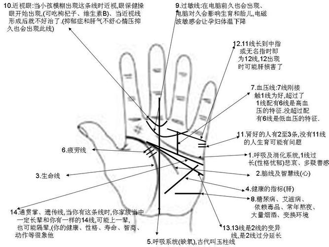 手相六条线代表什么 手有六条线