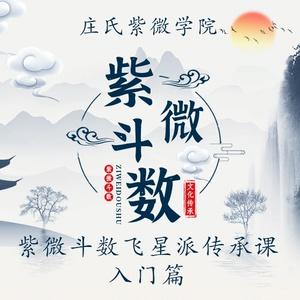 飞星紫微斗数图片