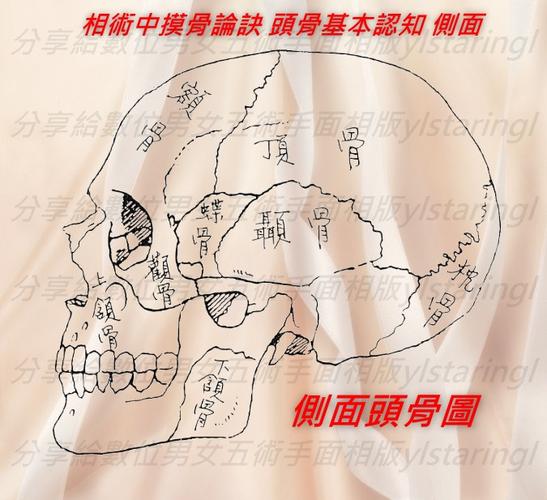 摸骨算命骨骼 摸骨算命是怎么回事