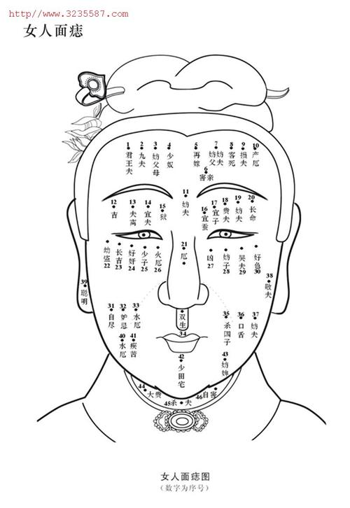 麻衣道者相面算命行业的祖师爷