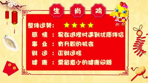 鼠人鸡年运势运程 2023年鼠人运势运程1984