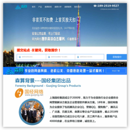 SEO优化公司-整站优化推广-网站关键词排名